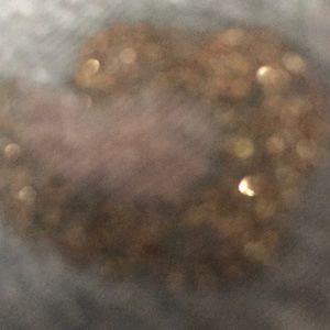 Meet your Posher, Lenny